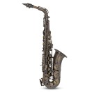 Roy Benson AS202 Alto Saxophone, Frosted Black