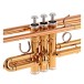 Yamaha YTR4335GII Intermediate Trumpet Package, Gold Lacquer 4