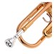 Yamaha YTR4335GII Intermediate Trumpet Package, Gold Lacquer 6