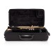 Yamaha YTR4335GII Intermediate Trumpet Package, Gold Lacquer 8