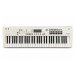 TI-KROSS2-61MB-white