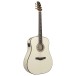 Ibanez AAD371E-ATW, Antique White High Gloss - side view