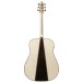 Ibanez AAD371E-ATW, Antique White High Gloss - back