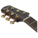 Ibanez AAD381CE-NT, Natural High Gloss - headstock