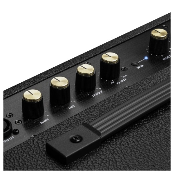 Headrush FRFR-12 Full-Range Guitar Cab - controls