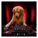 DJ Mans Best Friend