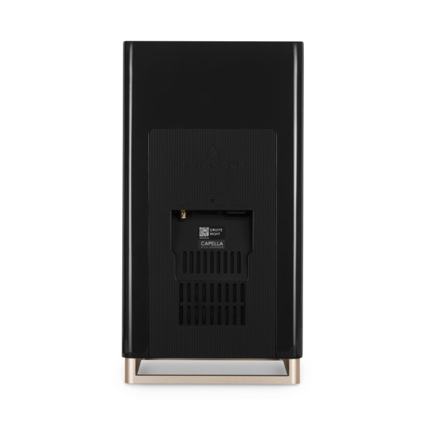 Triangle Capella Wi-Fi and Bluetooth Speaker System, Black Star rear 