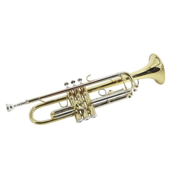 CDM9395
