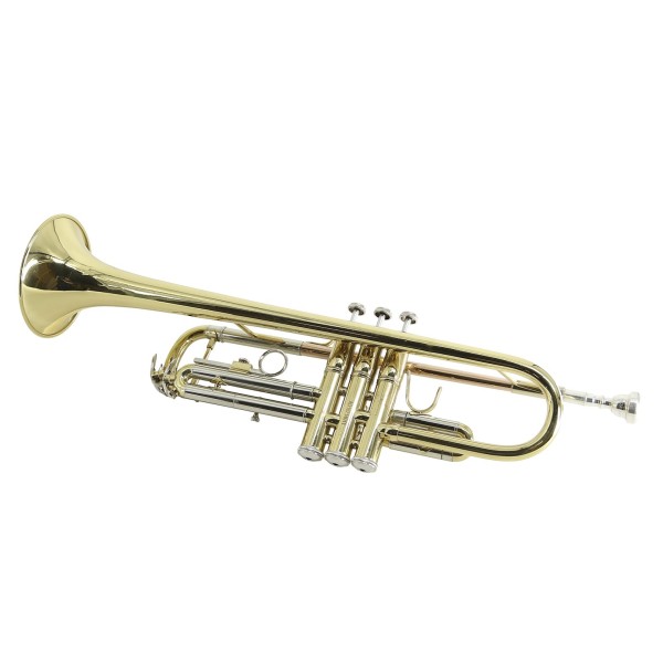 CDM9395
