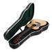 CFM-GTR-00028L #3046696 - guitar in case