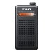 FiiO RR13 Portable Stereo Radio, Black