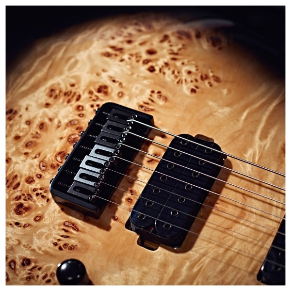 G4M 529 Standard Electric Guitar, 7-String, Black Burl Burst