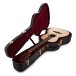 Martin 0012-28 Modern Deluxe #3034590 - guitar in case