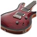 PRS Custom 24 'Birds of a Feather' Limited Edition, Blood Red - body