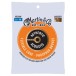 Martin MA550FX Authentic Acoustic Flexible Core Phosphor Bronze Strings, 13-56