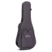 Martin Grand J-16E 12-String, Vintage Tint - case