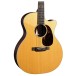 Martin GPC-16E, Vintage Tint - body
