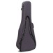 Martin GPC-16E, Vintage Tint - back of case