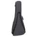 Martin 00L-16E Lefthand, 1935 Burst - back of case