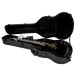 Gibson SG Modern Plain Top, Ebony #218950203 - guitar in case
