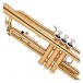 Yamaha YTR2330 Student Trumpet Beginners Pack, Gold Lacquer 6