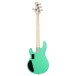 Sterling StingRay Plus RAY4X, Seafoam Green - back