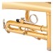 Yamaha YCR2330III Student Cornet Beginners Pack, Gold Lacquer 5
