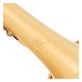 Yamaha YCR2330III Student Cornet Beginners Pack, Gold Lacquer 6