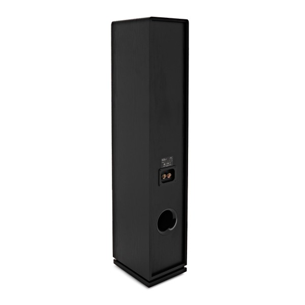AVCOM Floorstanding Speakers