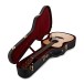 Martin D-28 Modern Deluxe #CDF2470 - guitar in case