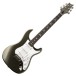 PRS Silver Sky Defender, Willow Green Limited Edition