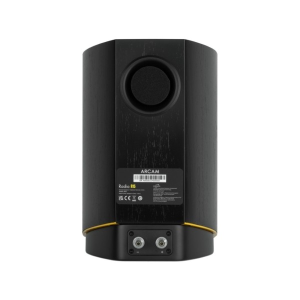 Arcam Radia R25 5.1 Speaker Package, Black r15 rear 