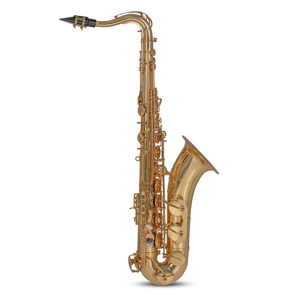 Roy Benson TS302 Tenor Saxophone, Gold Lacquer 1