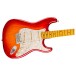 Fender American Professional Stratocaster MN, Aged Cherry Burst - body