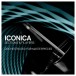 Steinberg Iconica Sections & Players