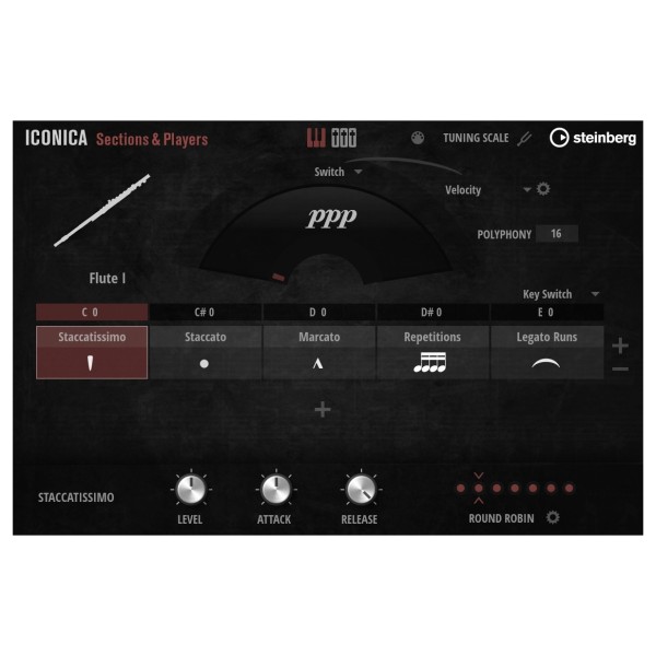 Steinberg Iconica Sections & Players