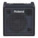 Roland KC-400 Keyboard Amplifier with Cover 2