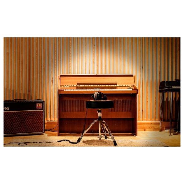 Steinberg Amped Elektra