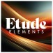 Steinberg Etude Elements