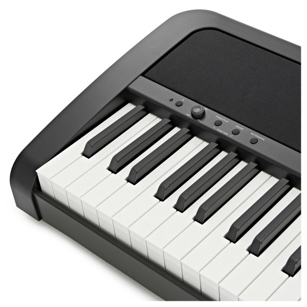 Korg B2 Digital Piano, Black
