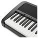 Korg B2 Digital Piano, Black
