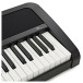Korg B2 Digital Piano, Black