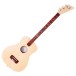 Loog Pro Acoustic, Natural