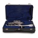 Besson Sovereign BE955 Bb Baritone Horn, Silver Plated 6