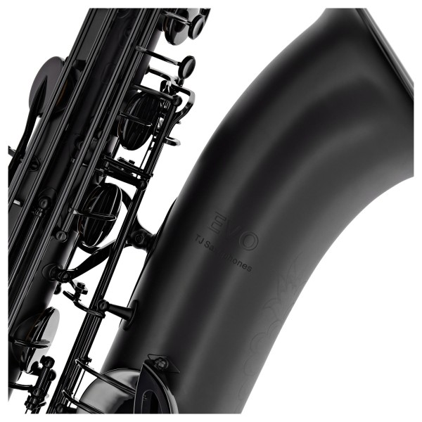 Trevor James EVO Baritone Saxophone, Black Frost 3