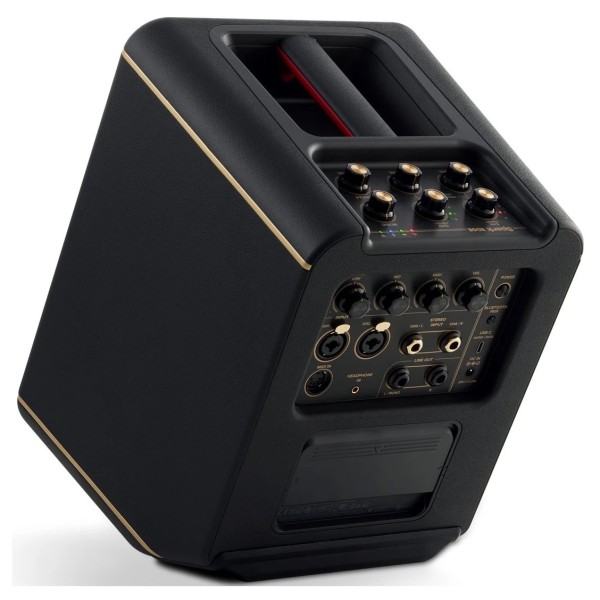 Positive Grid Edge - rear angled shot