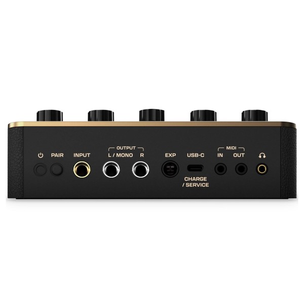 Positive Grid Spark Pedal - back