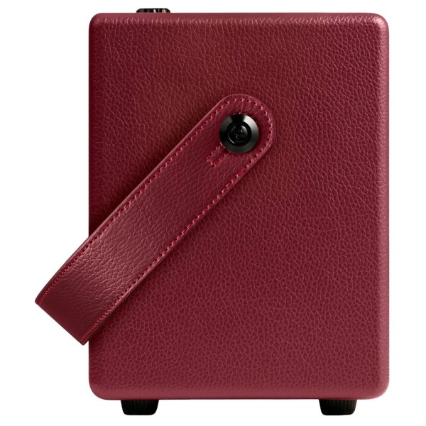 Positive Grid Spark Mini Vai Battery Powered Practice Amp - side
