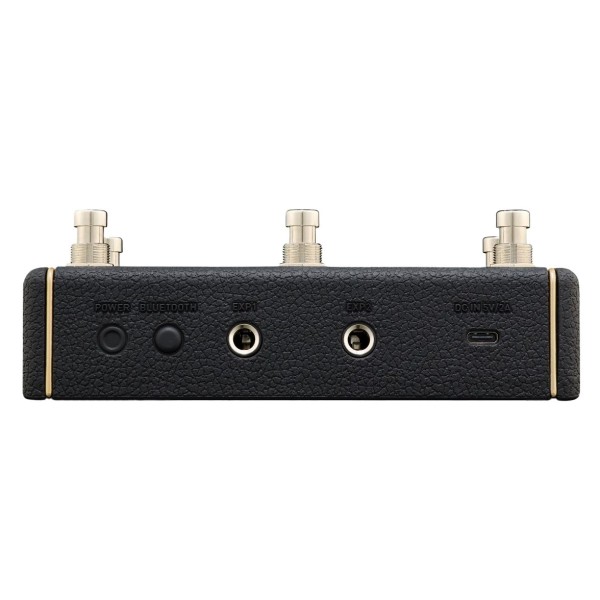 Positive Grid Spark Control X - back