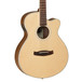 Tanglewood Discovery DBTSFCEBW Electro Acoustic Guitar, Natural